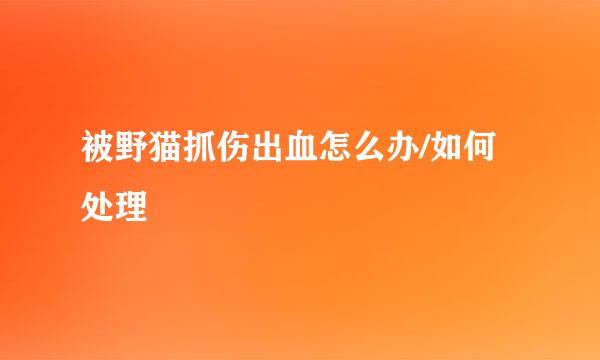被野猫抓伤出血怎么办/如何处理
