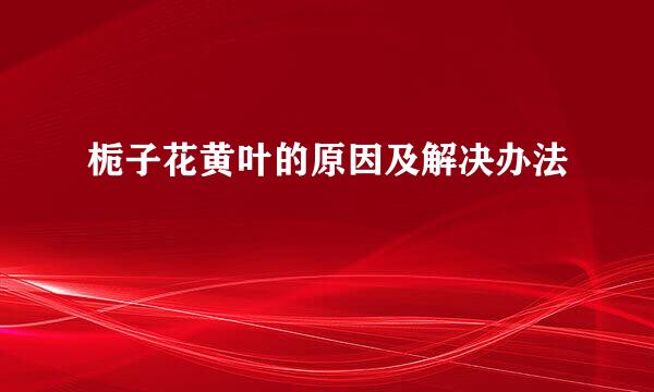 栀子花黄叶的原因及解决办法