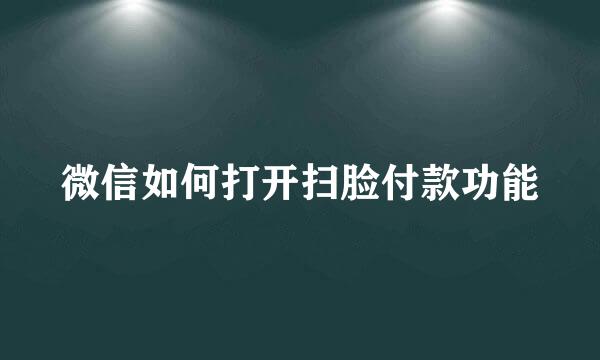 微信如何打开扫脸付款功能