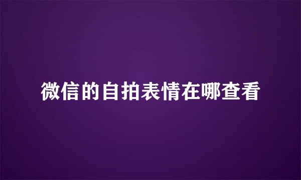 微信的自拍表情在哪查看