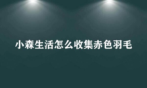 小森生活怎么收集赤色羽毛