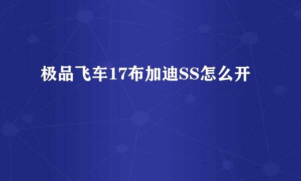极品飞车17布加迪SS怎么开