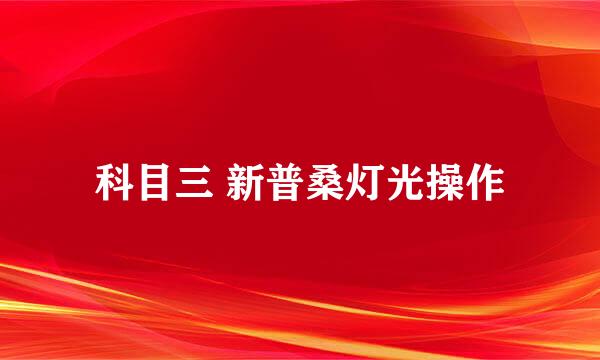 科目三 新普桑灯光操作