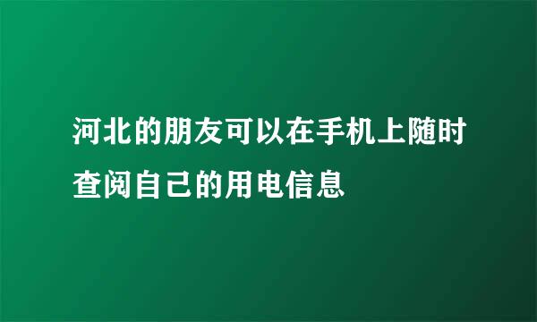 河北的朋友可以在手机上随时查阅自己的用电信息