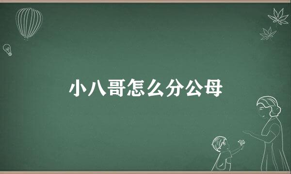 小八哥怎么分公母