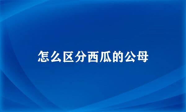 怎么区分西瓜的公母