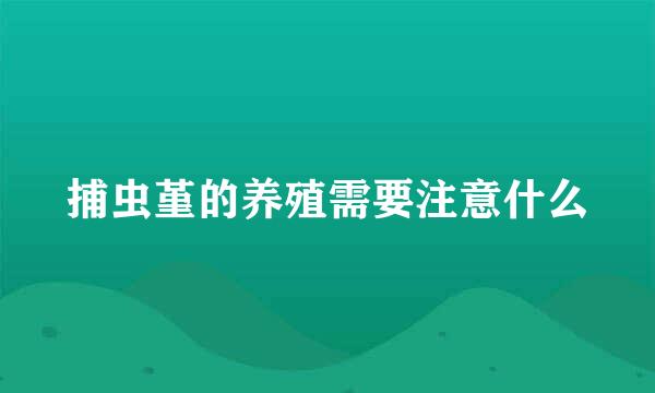 捕虫堇的养殖需要注意什么