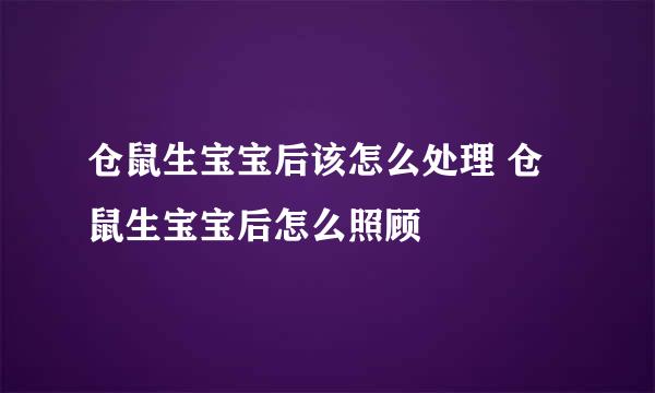 仓鼠生宝宝后该怎么处理 仓鼠生宝宝后怎么照顾