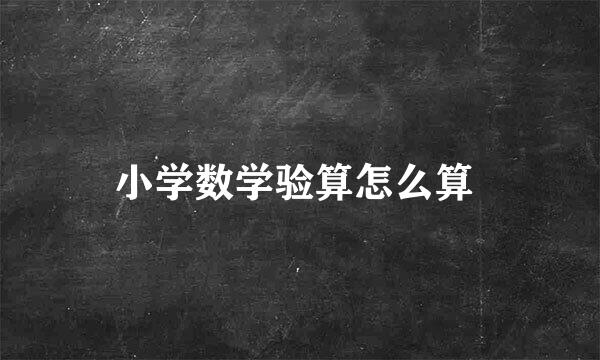 小学数学验算怎么算 