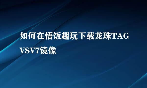 如何在悟饭趣玩下载龙珠TAGVSV7镜像