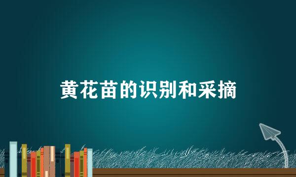 黄花苗的识别和采摘