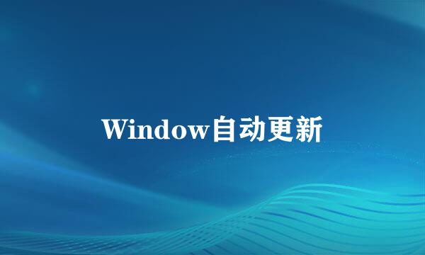 Window自动更新