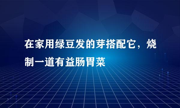 在家用绿豆发的芽搭配它，烧制一道有益肠胃菜