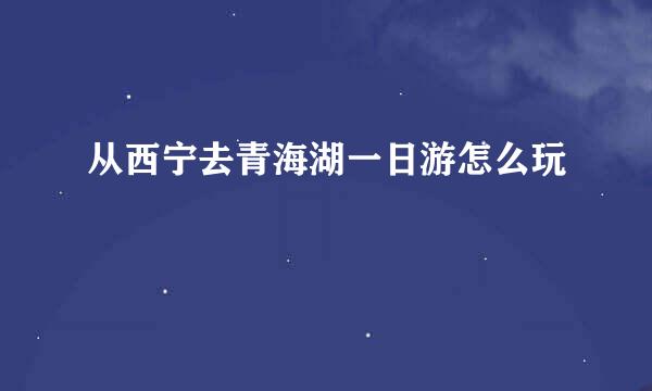 从西宁去青海湖一日游怎么玩