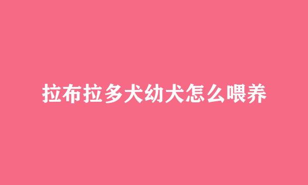 拉布拉多犬幼犬怎么喂养