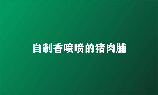 自制香喷喷的猪肉脯
