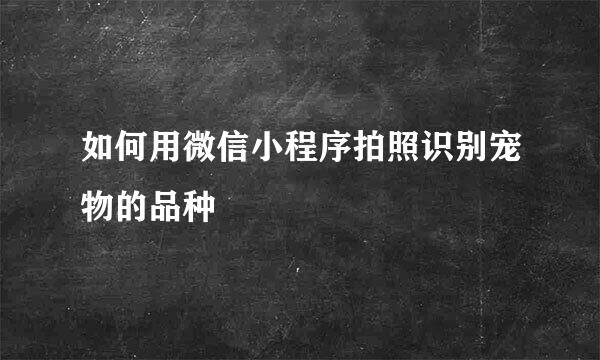 如何用微信小程序拍照识别宠物的品种