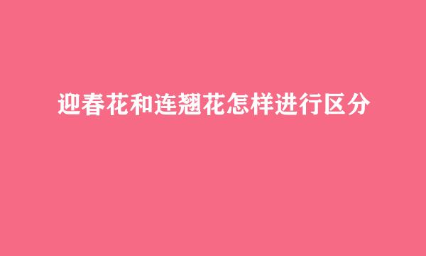 迎春花和连翘花怎样进行区分