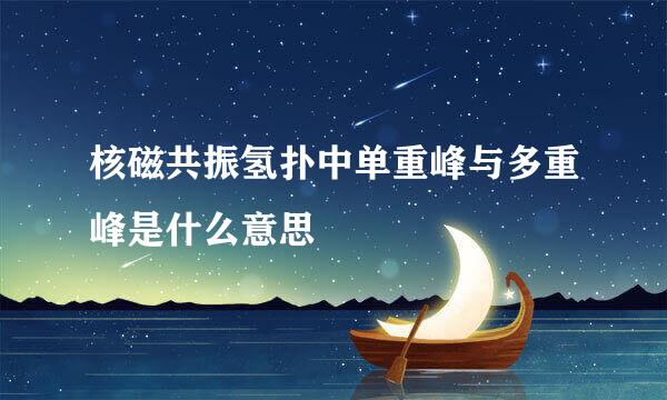 核磁共振氢扑中单重峰与多重峰是什么意思