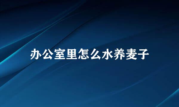 办公室里怎么水养麦子