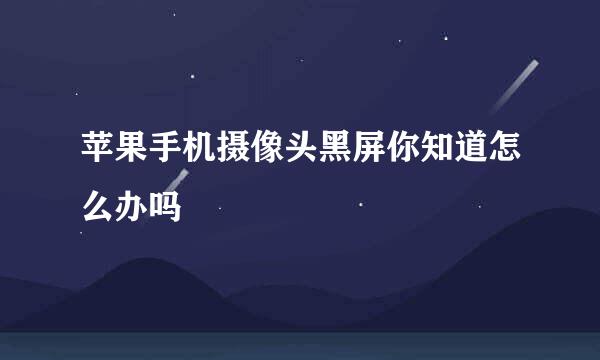 苹果手机摄像头黑屏你知道怎么办吗