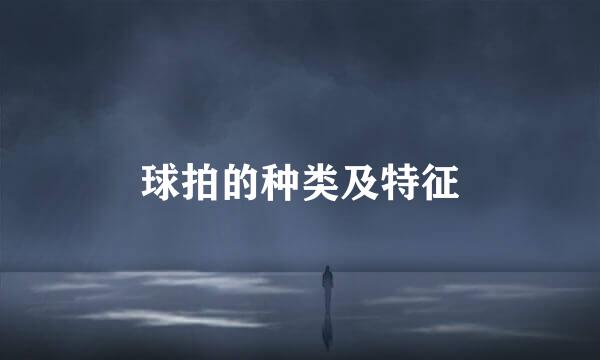 球拍的种类及特征