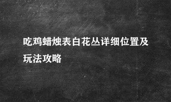 吃鸡蜡烛表白花丛详细位置及玩法攻略