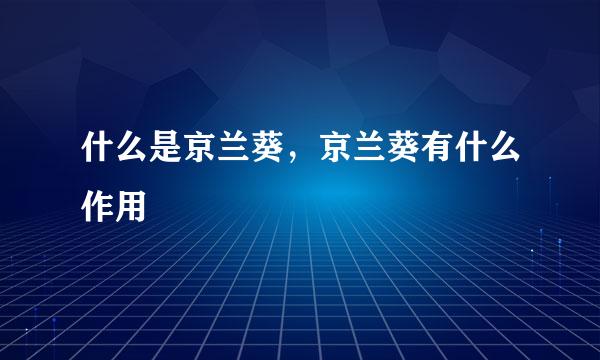 什么是京兰葵，京兰葵有什么作用