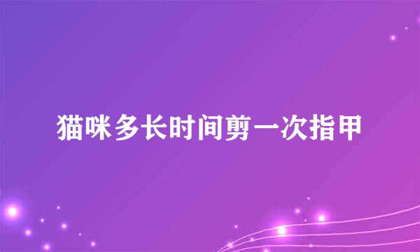 猫咪多长时间剪一次指甲