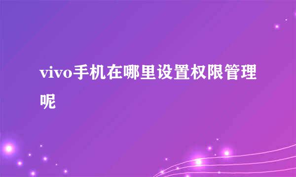vivo手机在哪里设置权限管理呢