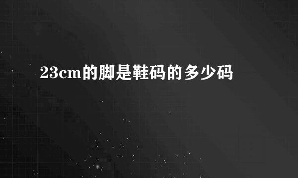 23cm的脚是鞋码的多少码