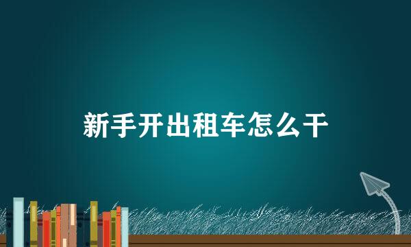 新手开出租车怎么干