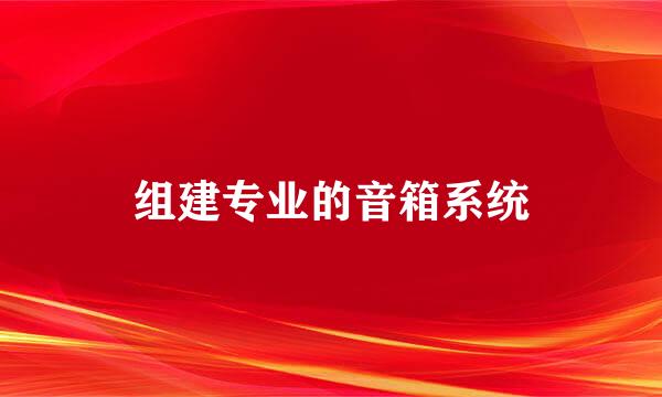 组建专业的音箱系统