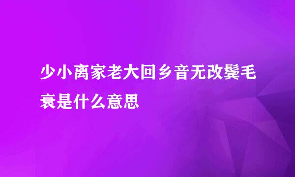 少小离家老大回乡音无改鬓毛衰是什么意思