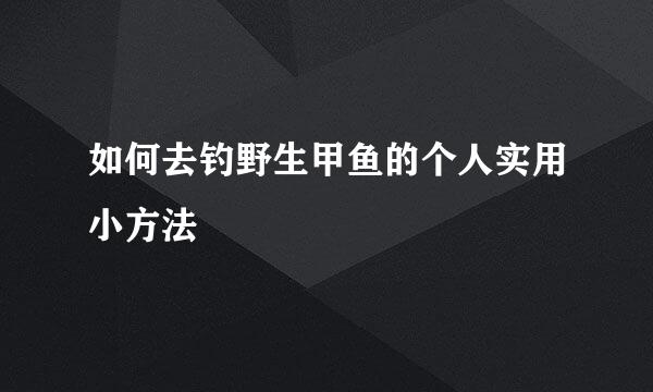 如何去钓野生甲鱼的个人实用小方法