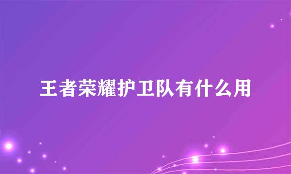 王者荣耀护卫队有什么用