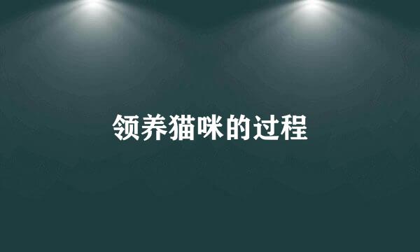 领养猫咪的过程