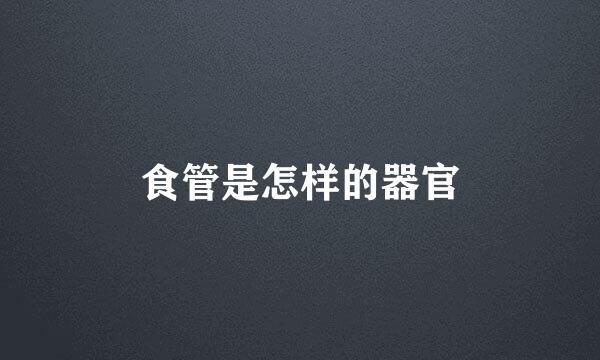 食管是怎样的器官