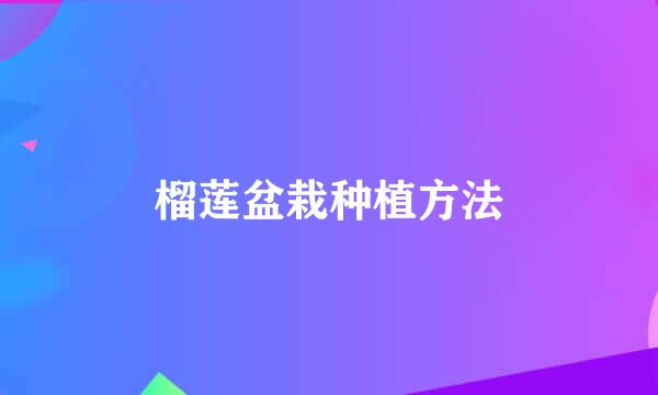 榴莲盆栽种植方法