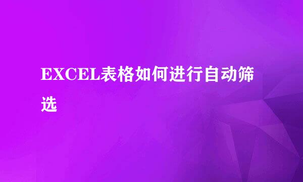 EXCEL表格如何进行自动筛选