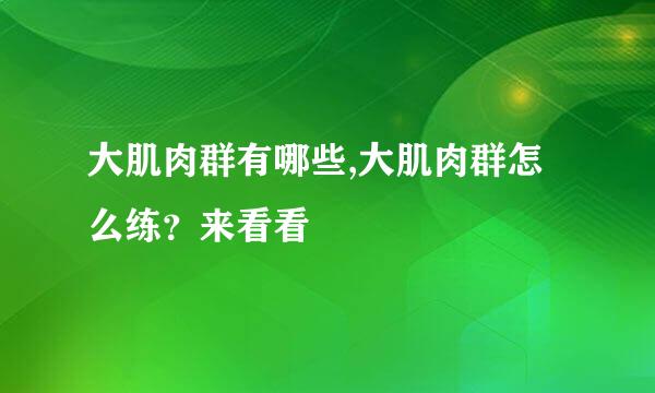 大肌肉群有哪些,大肌肉群怎么练？来看看