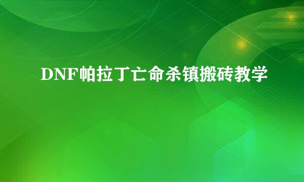 DNF帕拉丁亡命杀镇搬砖教学