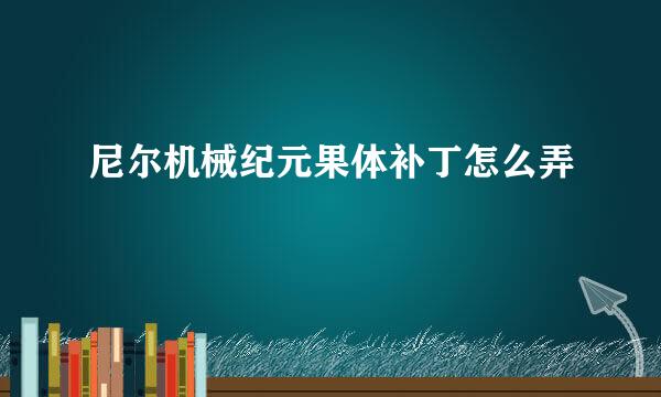 尼尔机械纪元果体补丁怎么弄