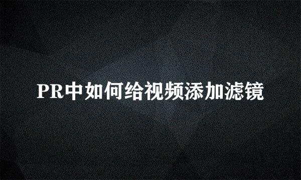 PR中如何给视频添加滤镜