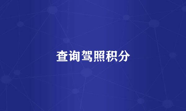 查询驾照积分