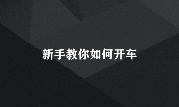 新手教你如何开车