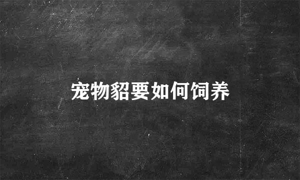 宠物貂要如何饲养