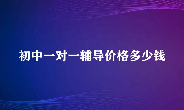 初中一对一辅导价格多少钱
