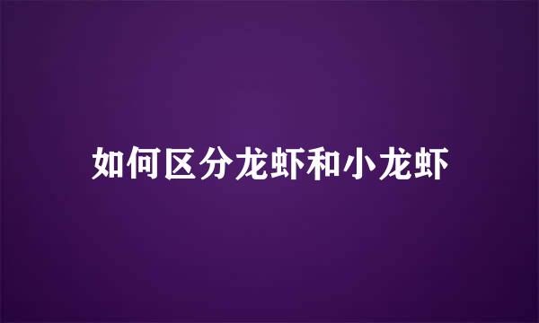 如何区分龙虾和小龙虾