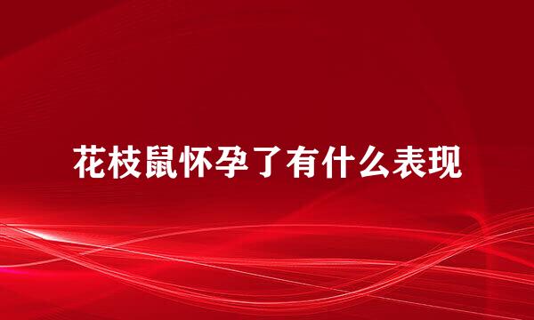 花枝鼠怀孕了有什么表现